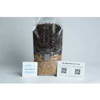 Read Rootlab Technologies Pty Ltd Reviews