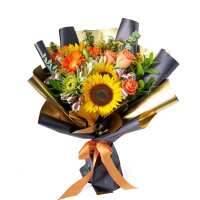 Read New York Blooms Reviews