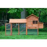 Read My Pet Chicken Reviews