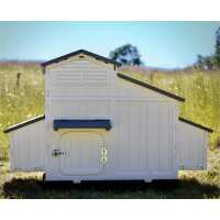 Read My Pet Chicken Reviews