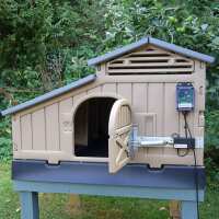 Read My Pet Chicken Reviews