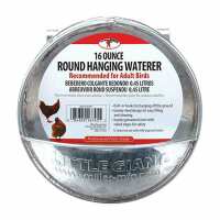 Read My Pet Chicken Reviews