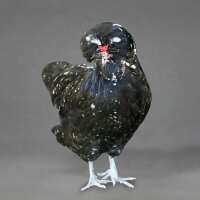Read My Pet Chicken Reviews
