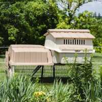 Read My Pet Chicken Reviews