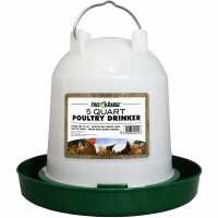 Read My Pet Chicken Reviews
