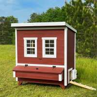 Read My Pet Chicken Reviews