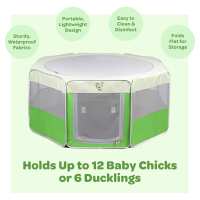 Read My Pet Chicken Reviews