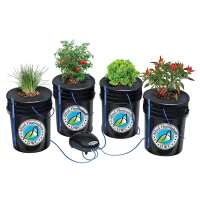 Read Grow Daddy Canada Reviews