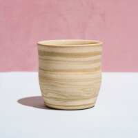 Read Chai Guys Reviews