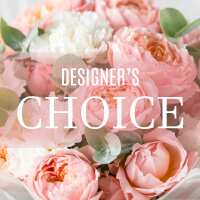 Read Toronto Blooms Reviews