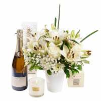 Read Toronto Blooms Reviews