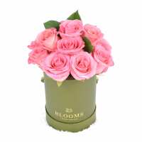 Read Toronto Blooms Reviews