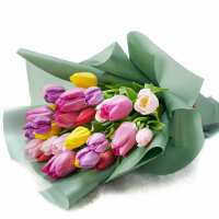 Read Toronto Blooms Reviews