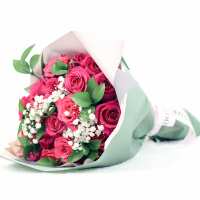 Read Toronto Blooms Reviews