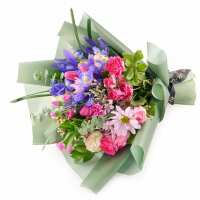 Read Toronto Blooms Reviews
