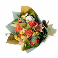 Read Toronto Blooms Reviews