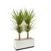 Lesen Airy Green Bewertungen