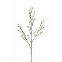 Read The Suffolk Nest Reviews