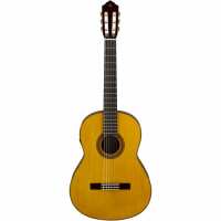 Read Modern Musician Reviews
