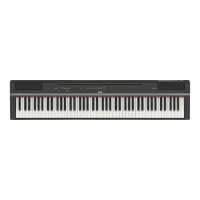 Read Modern Musician Reviews