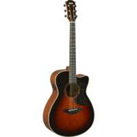 Read Modern Musician Reviews