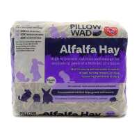 Read Pillow Wad Reviews