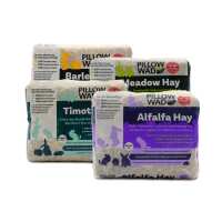 Read Pillow Wad Reviews