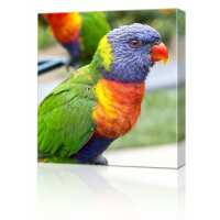 Read Harvey Norman PhotoCentre Reviews