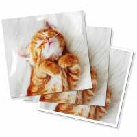 Read Harvey Norman PhotoCentre Reviews