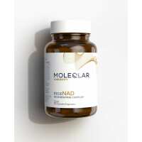 Lesen MoleQlar Bewertungen