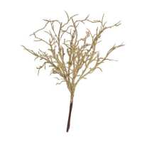 Read Garden Mall Reviews