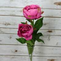 Read Garden Mall Reviews