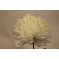 Read Garden Mall Reviews