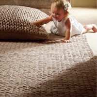 Read The Rug Shop UK Reviews