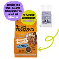 Lesen eat-small Bewertungen