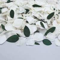 Read Confetti Bee Ltd Reviews