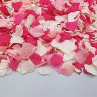 Read Confetti Bee Ltd Reviews