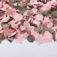 Read Confetti Bee Ltd Reviews