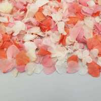 Read Confetti Bee Ltd Reviews