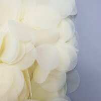 Read Confetti Bee Ltd Reviews