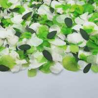 Read Confetti Bee Ltd Reviews