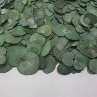 Read Confetti Bee Ltd Reviews