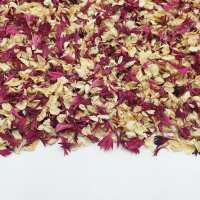 Read Confetti Bee Ltd Reviews