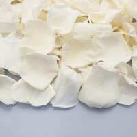 Read Confetti Bee Ltd Reviews