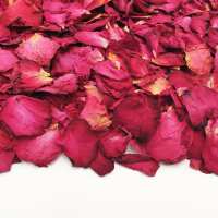 Read Confetti Bee Ltd Reviews