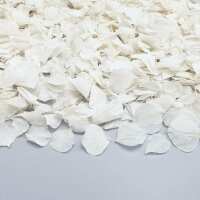 Read Confetti Bee Ltd Reviews