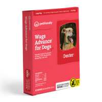 Read PetFriendly Reviews