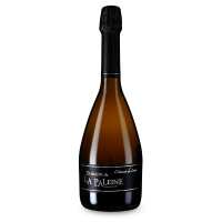 Lesen Wine in Black GmbH Bewertungen