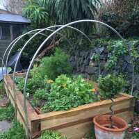 Read Gardening Naturally Reviews