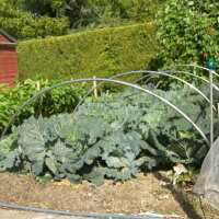 Read Gardening Naturally Reviews